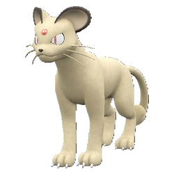 persian serebii|persian pokemon serebii.